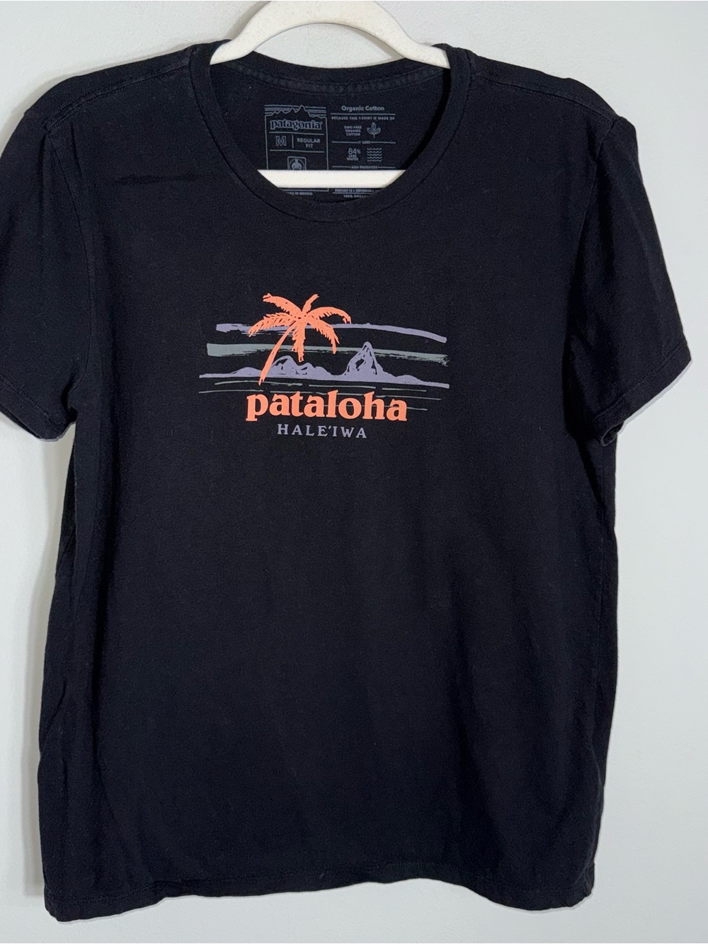 Patagonia Pataloha Short Sleeve T Shirt-Black-Organic Cotton-Medium